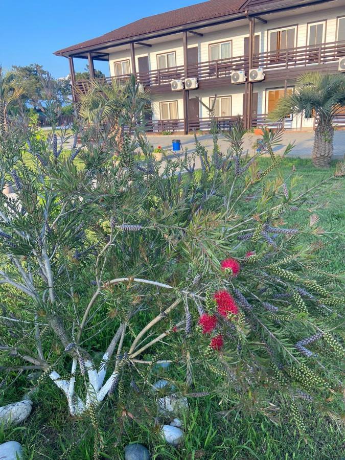 Al Mare Hotel Pitsunda Dış mekan fotoğraf