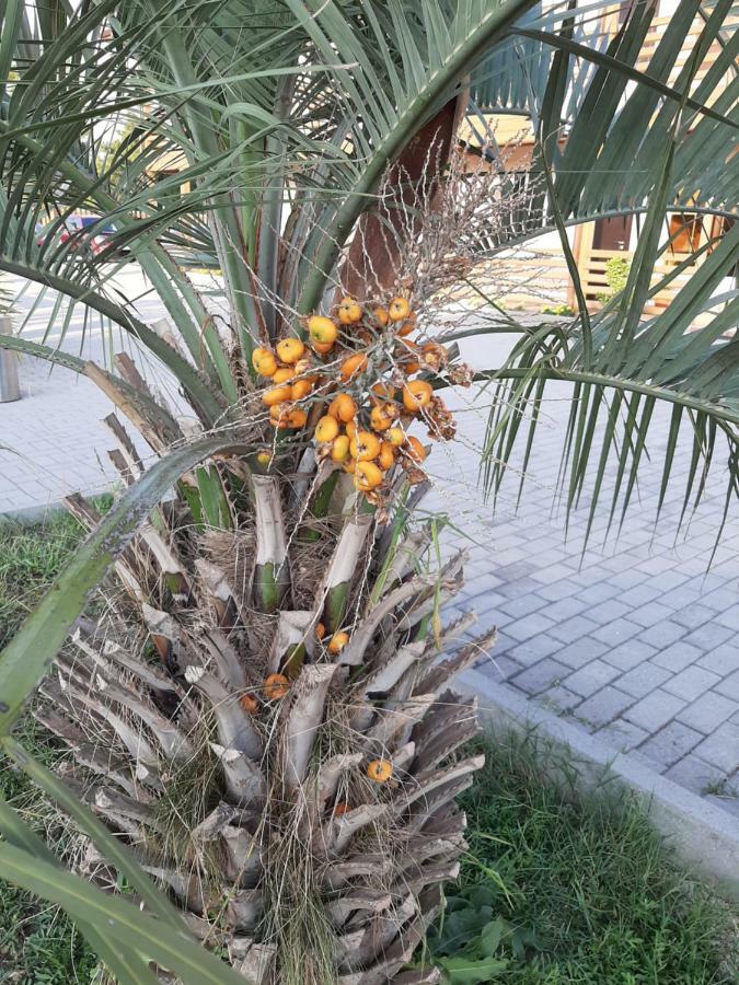 Al Mare Hotel Pitsunda Dış mekan fotoğraf